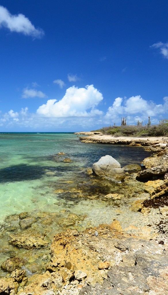 Aruba Shoreline