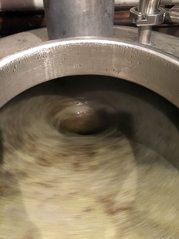 Brewing a Gose Sour Beer Blog