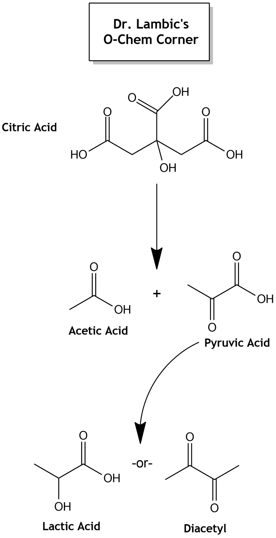 A Guide To Blending Sour Beer With Fruit Sour Beer Blog