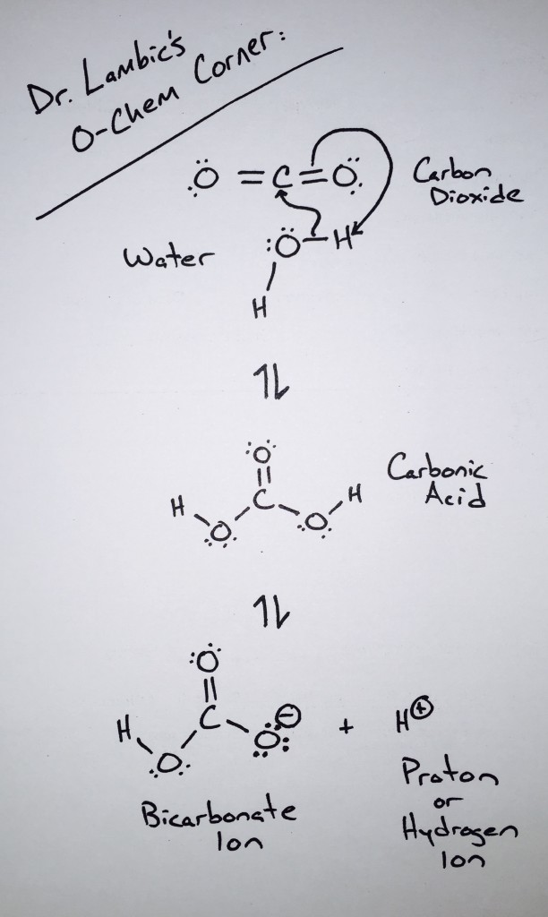 Carbonation in Sour Beers - Sour Beer Blog